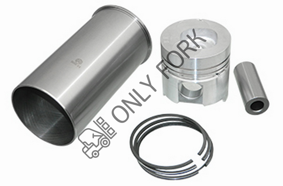 Поршневая группа Chaochai  4100Q OFEL01045