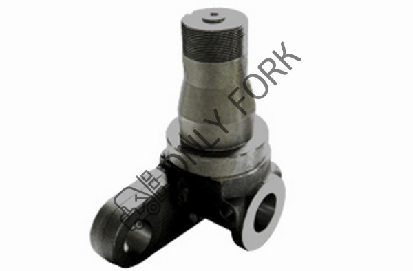 Поворотный кулак  FD3.5-50T9,C9 543C240121