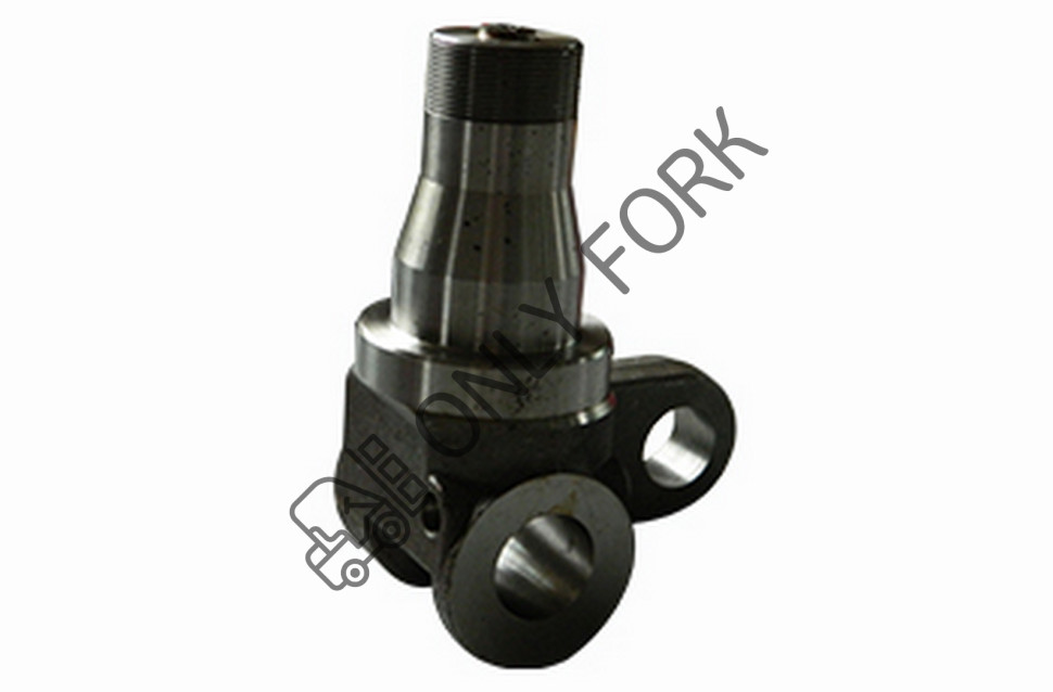 Поворотный кулак FD3.5-50T9,C9 543C240131 Поворотный кулак FD3.5-50T9,C9 543C240131